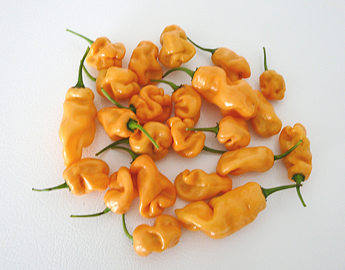 Peach Habanero